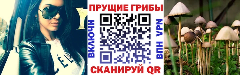 купить наркотик  Пересвет  KRAKEN ONION  Псилоцибиновые грибы Psilocybine cubensis 
